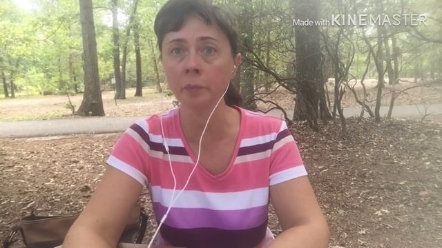 АМЕРИКА. Чем американская школа отличается от русской. Ответы на вопросы. О каникулах и питании.