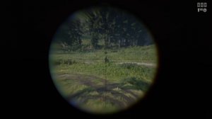 Каркано и винтовка с откидным затвором: снайперские винтовки в rdr2 online
