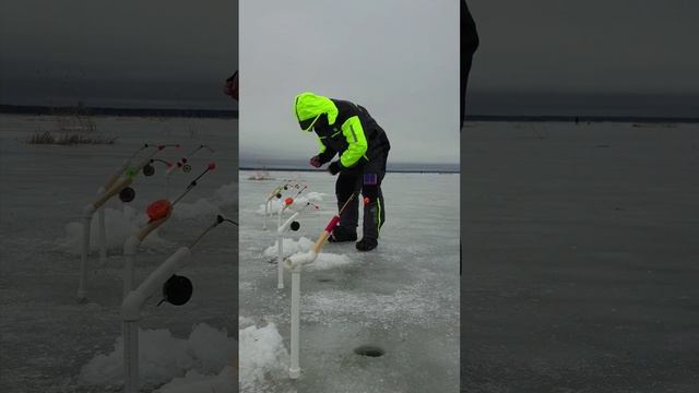 Зимняя рыбалка на Финском заливе. Корюшка. смотреть онлайн