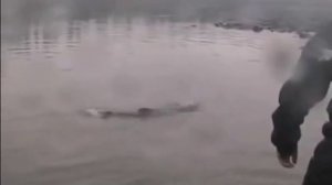 В якутие поймали Тайменя на 50 кг