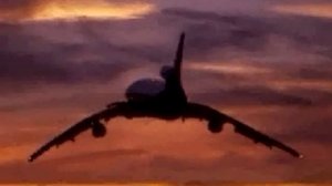 Самолет птица! машет крыльями