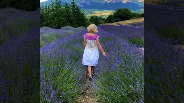 Лаванда / Кино в лавандовых полях / Побыть немного актрисой) смотреть онлайн