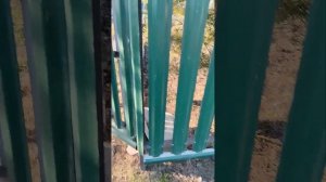 Забор из металлического штакетника сделанного из проф. листа 0,5 мм. 6 м. длиной.