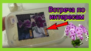 Посев орхидей совместно с Мой мирок орхидей. Мои впечатления. Вагон подарков.