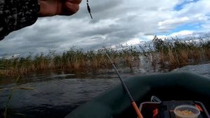 Вот это бонус  Макароны рулят   Ловля карася на мормышку с поплавком