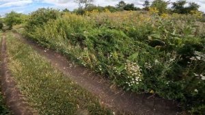 ТАК МЫ ЕЩЁ НЕ КАТАЛИСЬ! ЛЕТНИЕ ПОКАТУШКИ НА МОТОЦИКЛАХ!