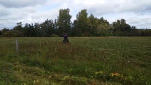 Сенокос   мотоблоком