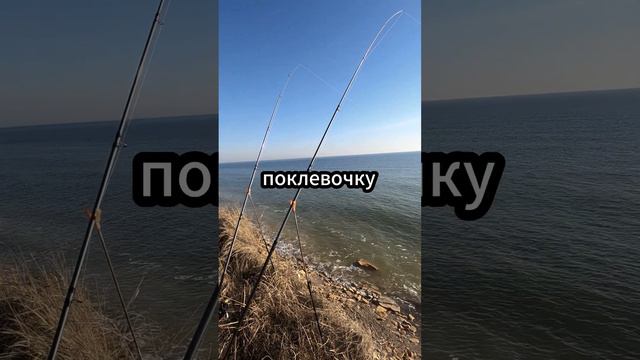 РЫБАЛКА В ЧЕРНОМ МОРЕ 31 ДЕКАБРЯ, ЛОВЛЯ ЧЕРНОМОРСКОГО БЫЧКА .