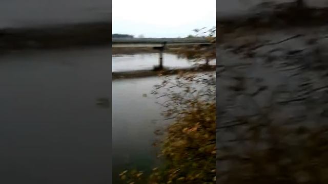 20171109 Разлив реки Шешупе осенью!!!! смотреть онлайн