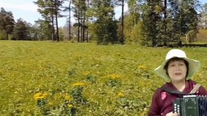 Песня под гармонь "Не считай года мои, кукушка" Кавер.