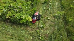 Робот косит борщевик