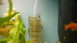 со2  JBL ProFlora Taifun S с бутилка под високо налягане .