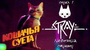 Stray | Кошачья суета в мире киберпанка | Серия 1