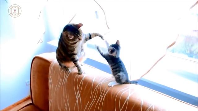 ТвоеКино - МАМА - главное слово смотреть онлайн