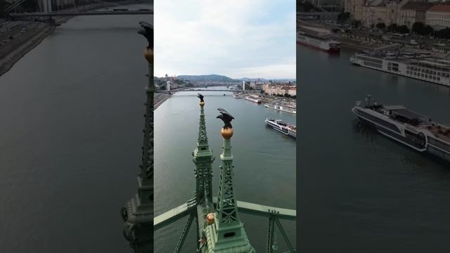 Liberty Bridge and Liberty Statue in Budapest #budapest #hungary #drone