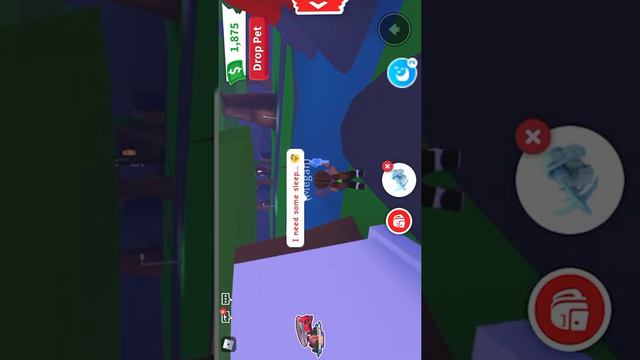 How to find all of the fossils