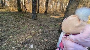 КОРМИМ РУЧНЫХ БЕЛОК В ЛЕСУ