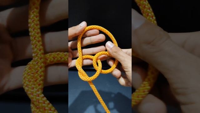 True Lover knot - Great creative knot!