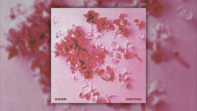 Bakr - Сирень (Qysym music remix) смотреть онлайн