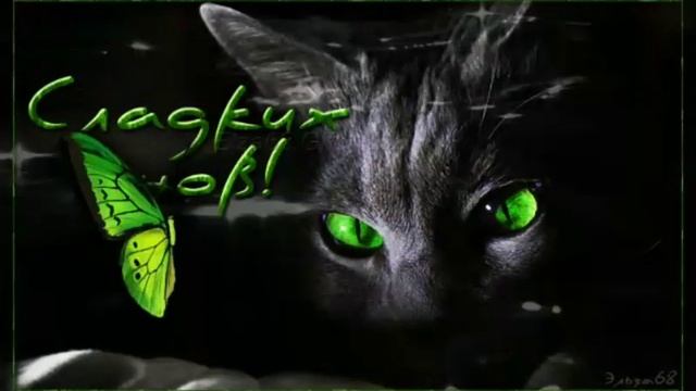 строгий гиф# сладких снов# смотреть онлайн