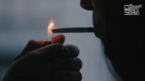 Мертвые Дельфины - Любовь в Метро