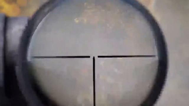 Dayz - Vlados дэйз Владос