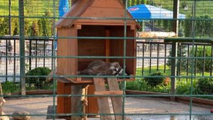 Экопарк Биосфера Калуга | Отдых с детьми | Куда сходить в Калуге?