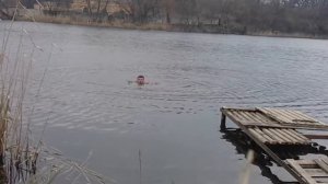 Правильное плавание в ледяной воде, и как плавать в ледяной воде, привык в ледяной воде.