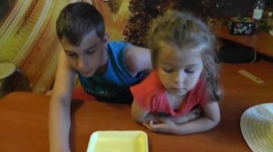 цыплята из магазинных яиц! самодельный #инкубатор