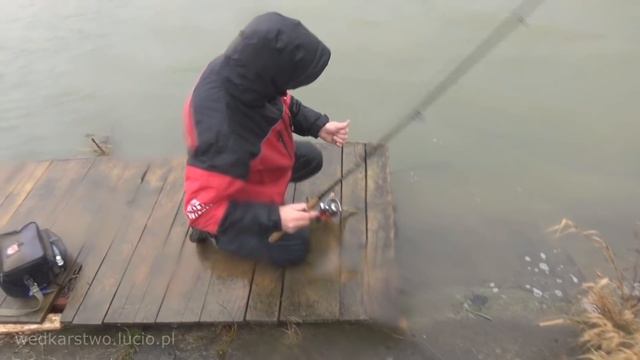 Drapieżniki na 10 wędek - wędkarstwo spinningowe смотреть онлайн