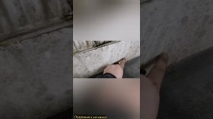 Покраска раптор, титан, кобра. Колеруемая версия