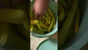 Цицак маринованный на зиму ?️