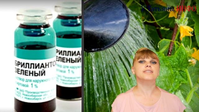 ЙОД и ЗЕЛЕНКА — отличная защита для САДА и ОГОРОДА от вредителей и болезней! смотреть онлайн