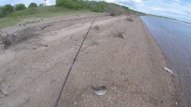 ЛОВЛЯ ВЕРХОГЛЯДА НА СПИННИНГ.РЫБАЛКА НА АМУРЕ .МОЙ ТРОФЕЙ. смотреть онлайн