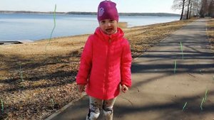 родина моя, стихотворение "Я узнал , что у меня есть огромная семья"