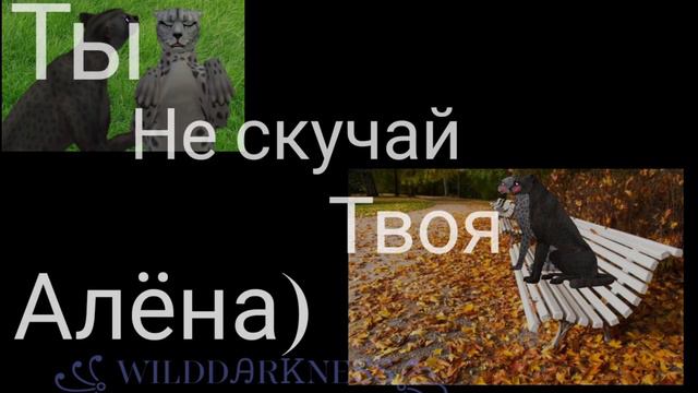 ~WildCraft~ |Клип под песню|Алёны Швец|В клеточку шарф| (Ч.О) смотреть онлайн