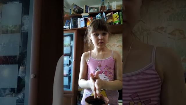 Сажаем цветы АГЕРАТУМ смотреть онлайн