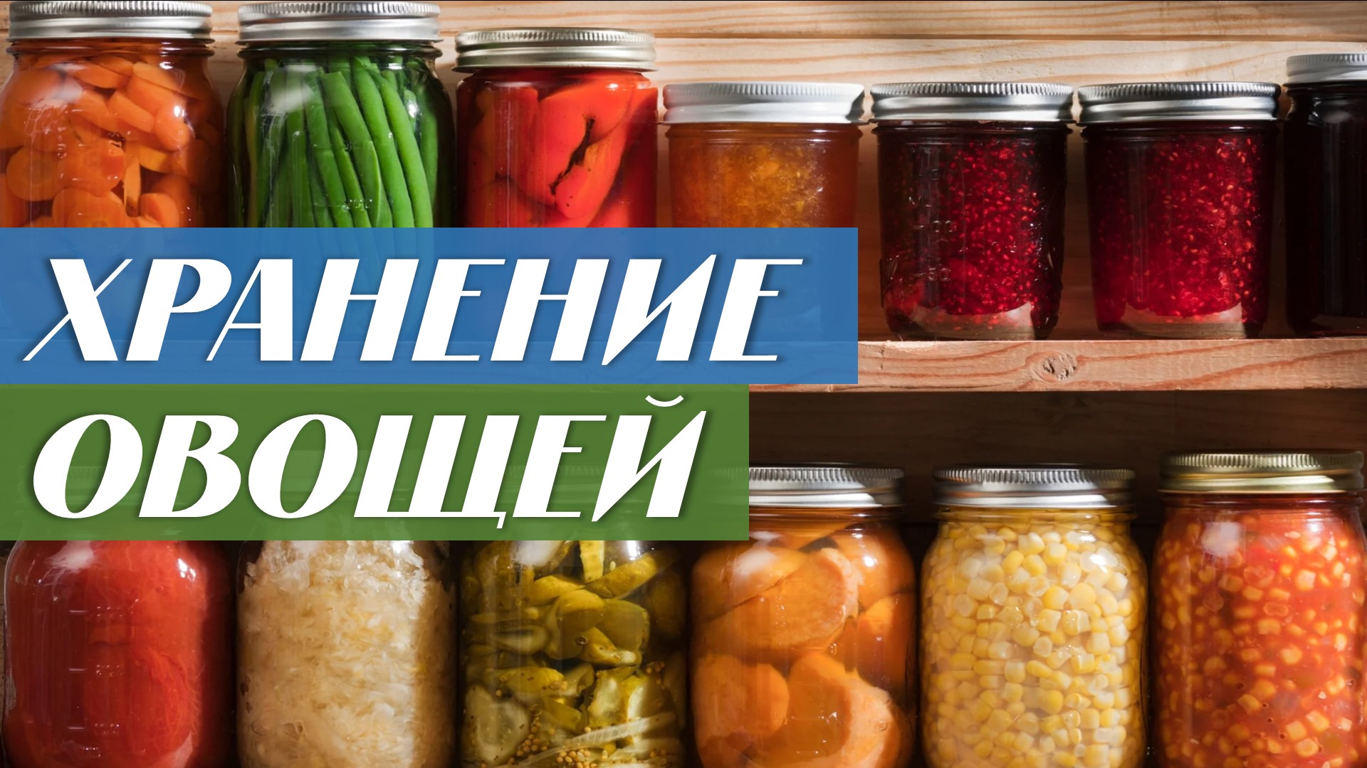Поговорим о хранении овощей на зиму смотреть онлайн