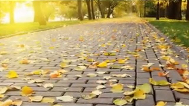 Королева осени. смотреть онлайн