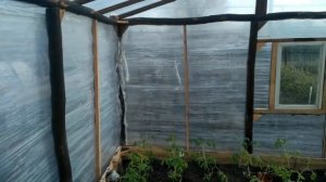 Парник/теплица из стрейч плёнки своими руками.