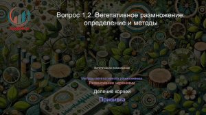 Дендрология. Профпереподготовка. Лекция. Профессиональная переподготовка для всех!