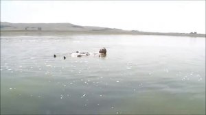 Солёное Озеро  с.  Северное Александровского района