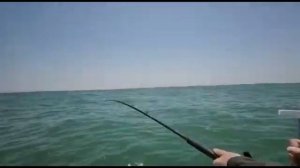 Поймали АКУЛУ В АТЛАНТИЧЕСКОМ ОКЕАНЕ!!!!!!