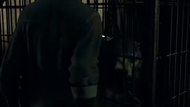 Ps4 live strim DBH смотреть онлайн