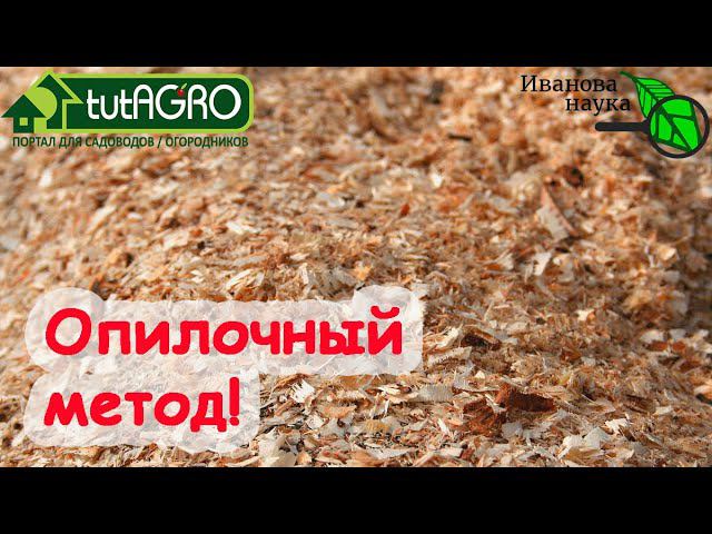 ОПИЛКИ ДЛЯ КАРТОФЕЛЯ. Опыт северных огородников выращивания урожая картофеля без болезней БЕЗ ХИМИИ!