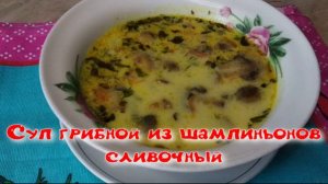 Суп грибной из шампиньонов сливочный.