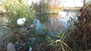 Моя тактика ловли плотвы в реке поздней осенью на фидер.