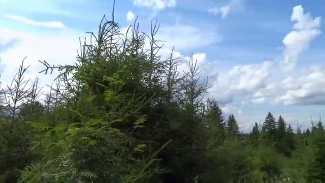 Лирическая
