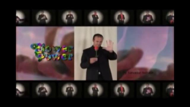 цветок молния смотреть онлайн