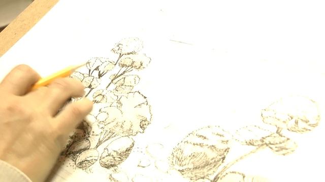 Ландшафтный дизайн рисунок. Эскиз ландшафтного дизайна